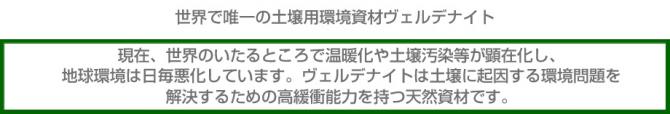 ヴェルデナイト