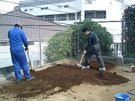 幼稚園の緑化の施工実験